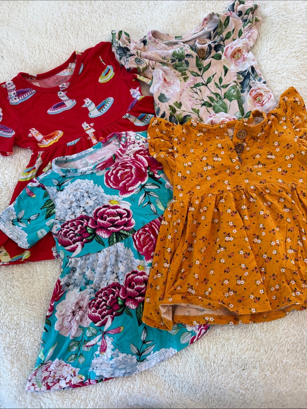 Posh peanut top bundle